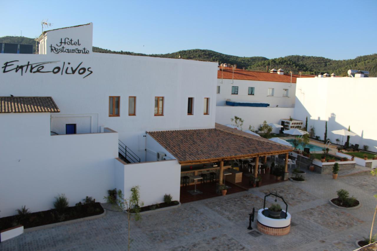 Entreolivos 2* El Pedroso