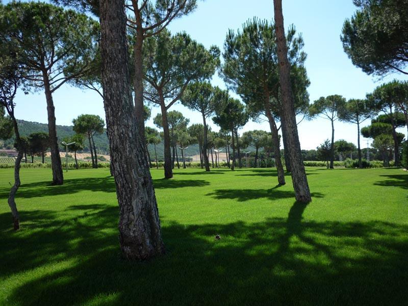 & Arzuaga (adults Only) 5* Quintanilla de Onesimo