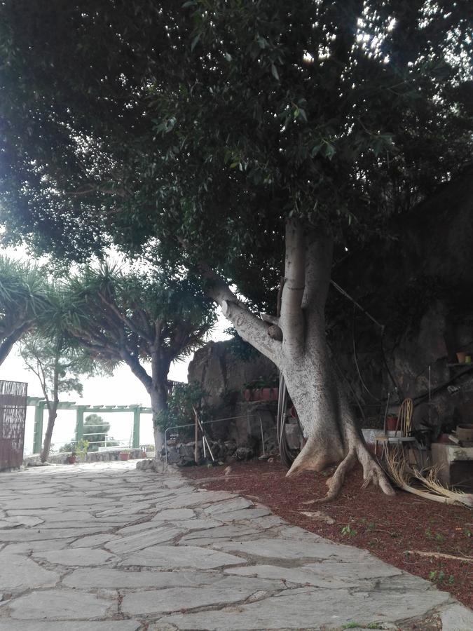 Pensión Finca Bella Vista 3*
