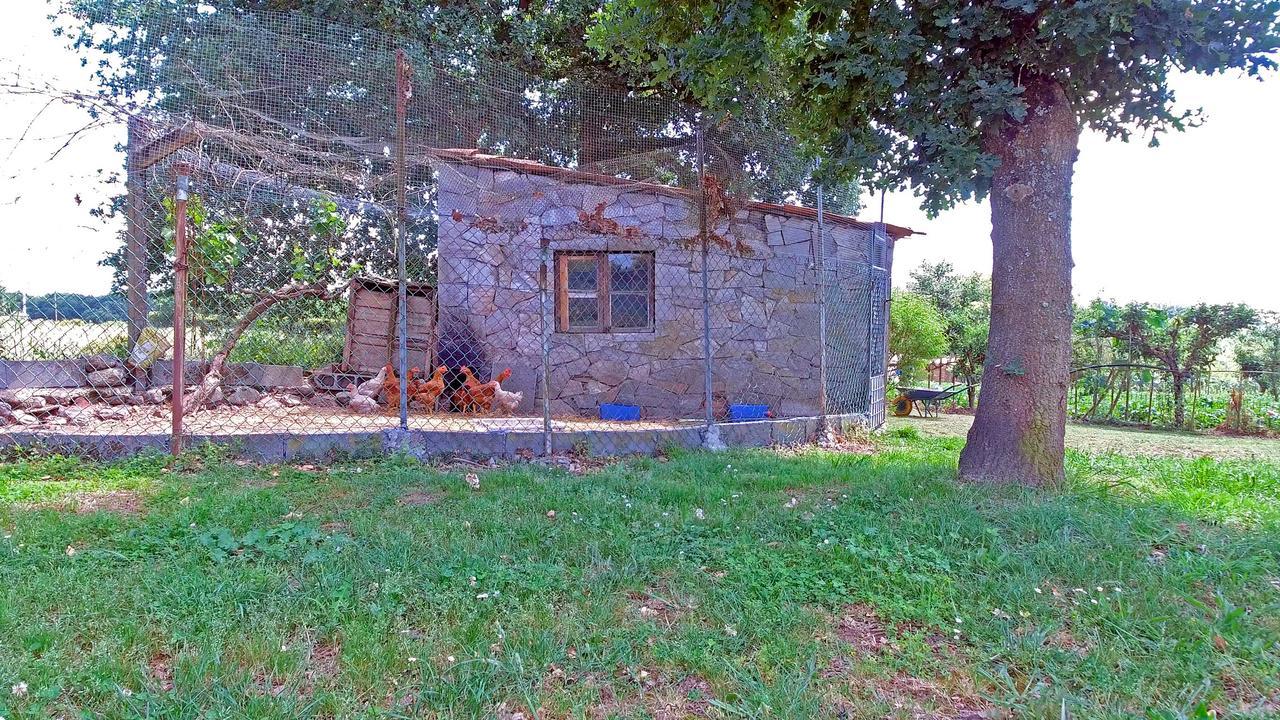 Country house Torre Vilarino *