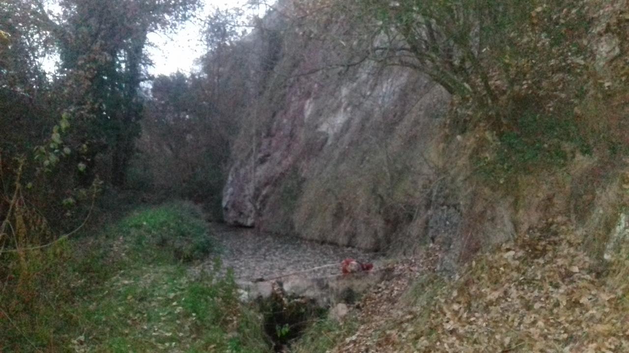 Cal Mestre * Tartareu