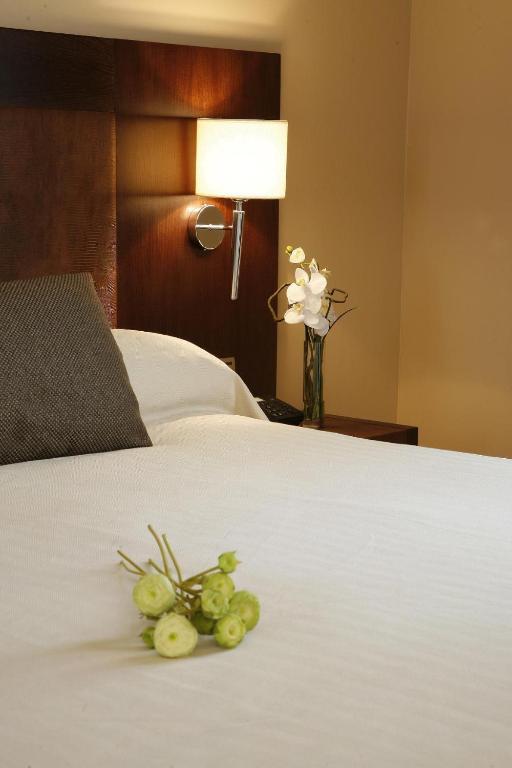 De Aranda Hotel Aranda de Duero