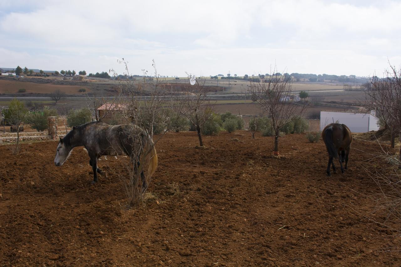 El Retiro De Cervantes * Ossa de Montiel