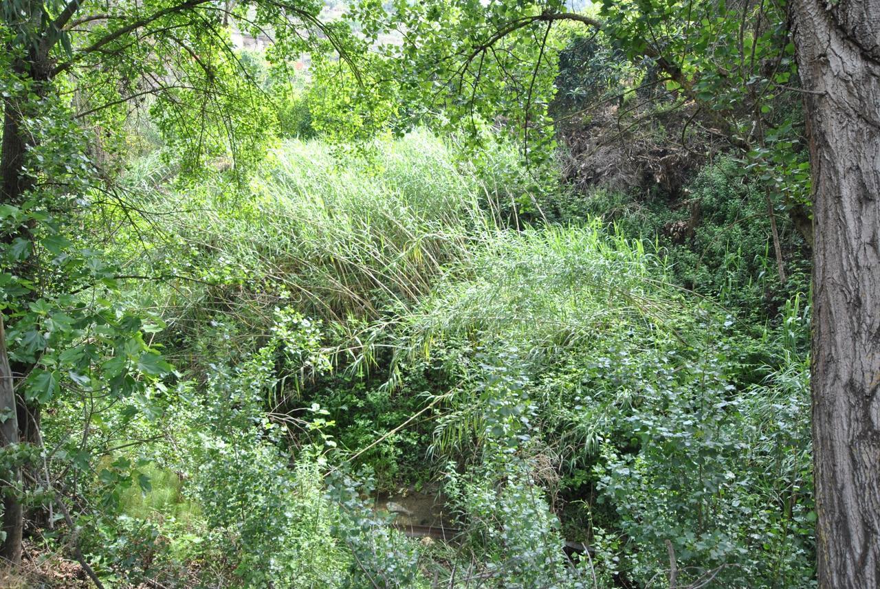 La Casa Del Río Alhaurín el Grande