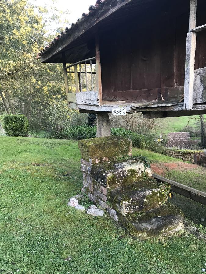 Country house Quinta Del Sauce Villaviciosa (Asturias)