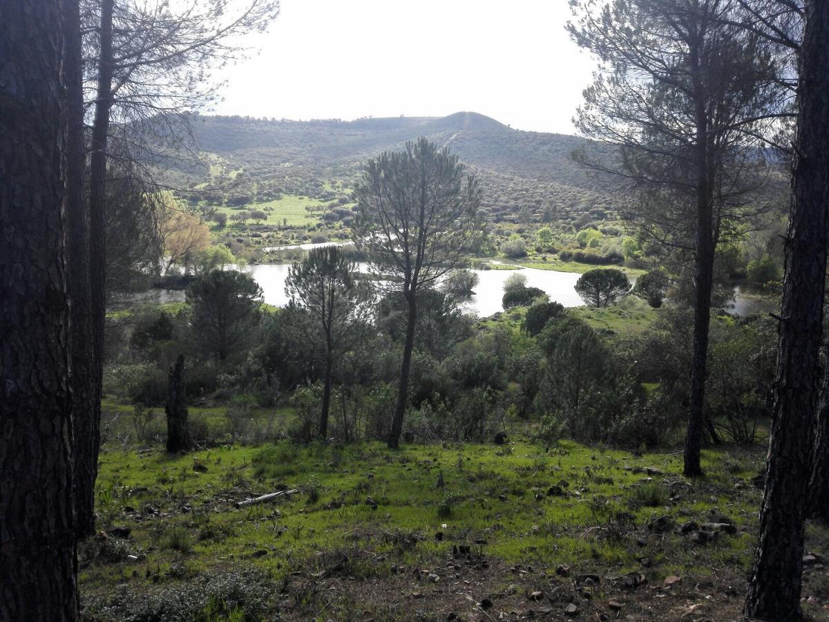Casas Rurales Cijara