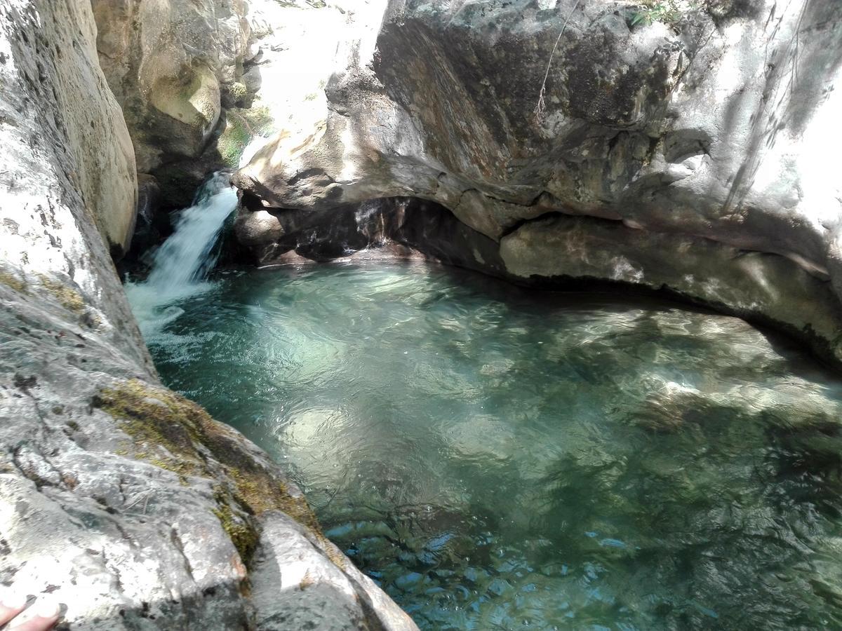 Campsite L'espelt