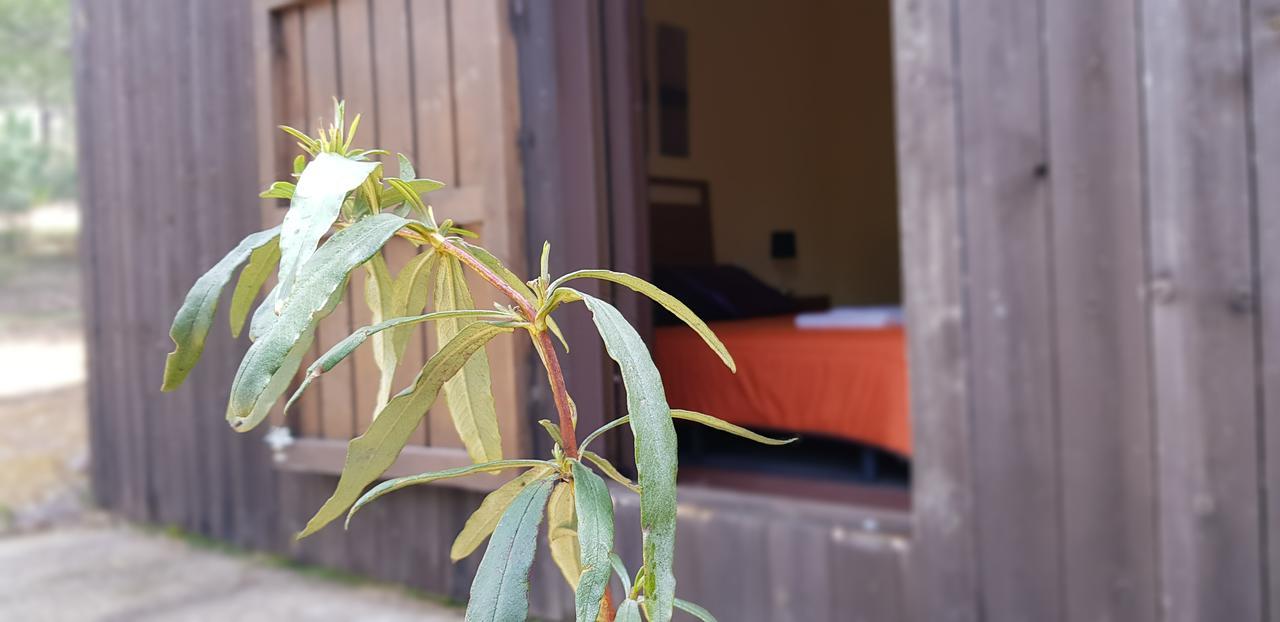 Casa rural Casas Rurales Cijara