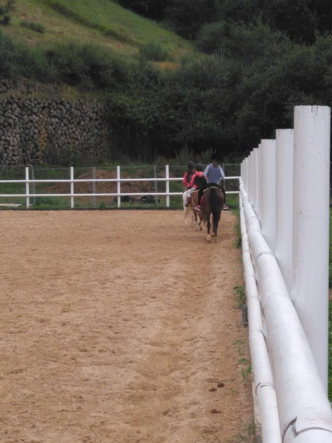 Hotel La Cotía 3*
