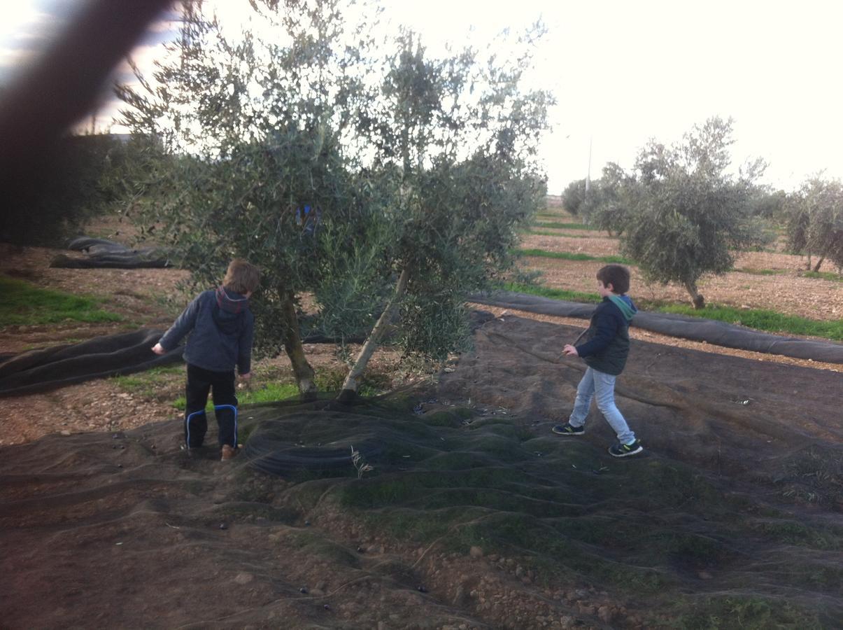 Rurales Caleras Almagro