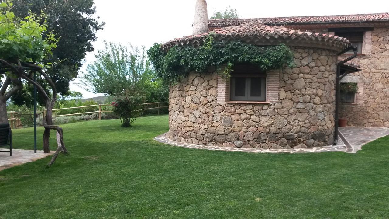 Abejas 1 De El Vergel De Chilla *