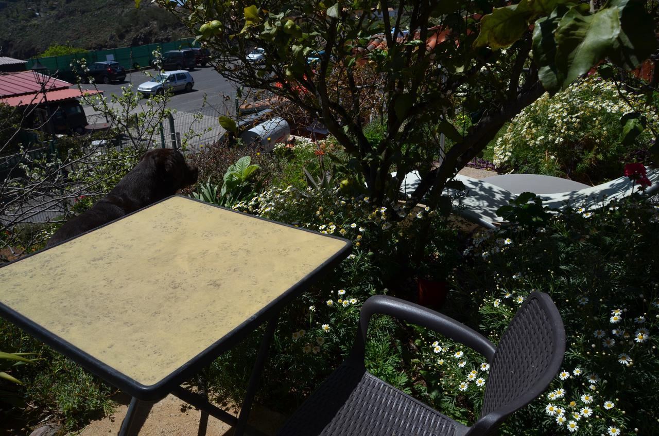 Rural Gomera Apartment Arure