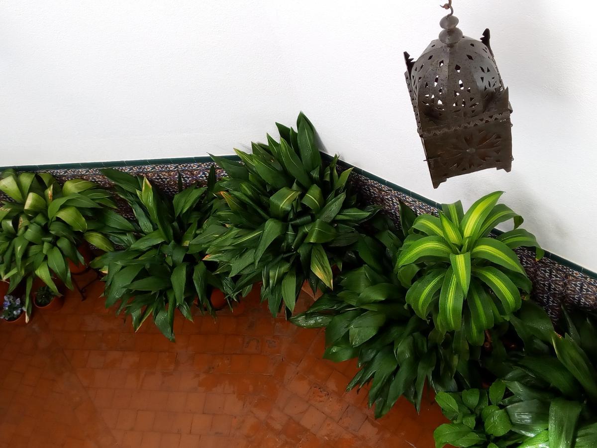La De Manolo Guest house Toledo