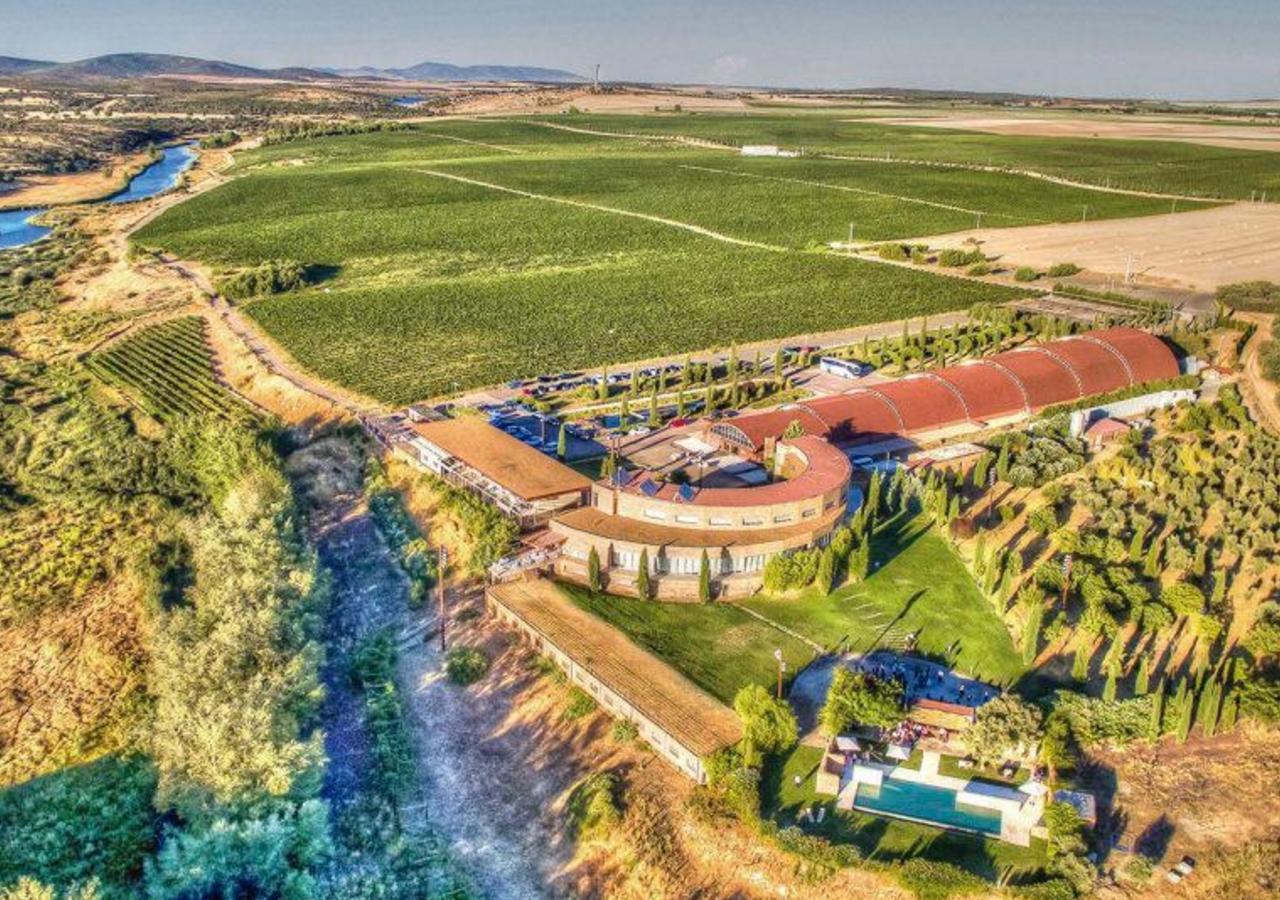 Bodega Pago Del Vicario