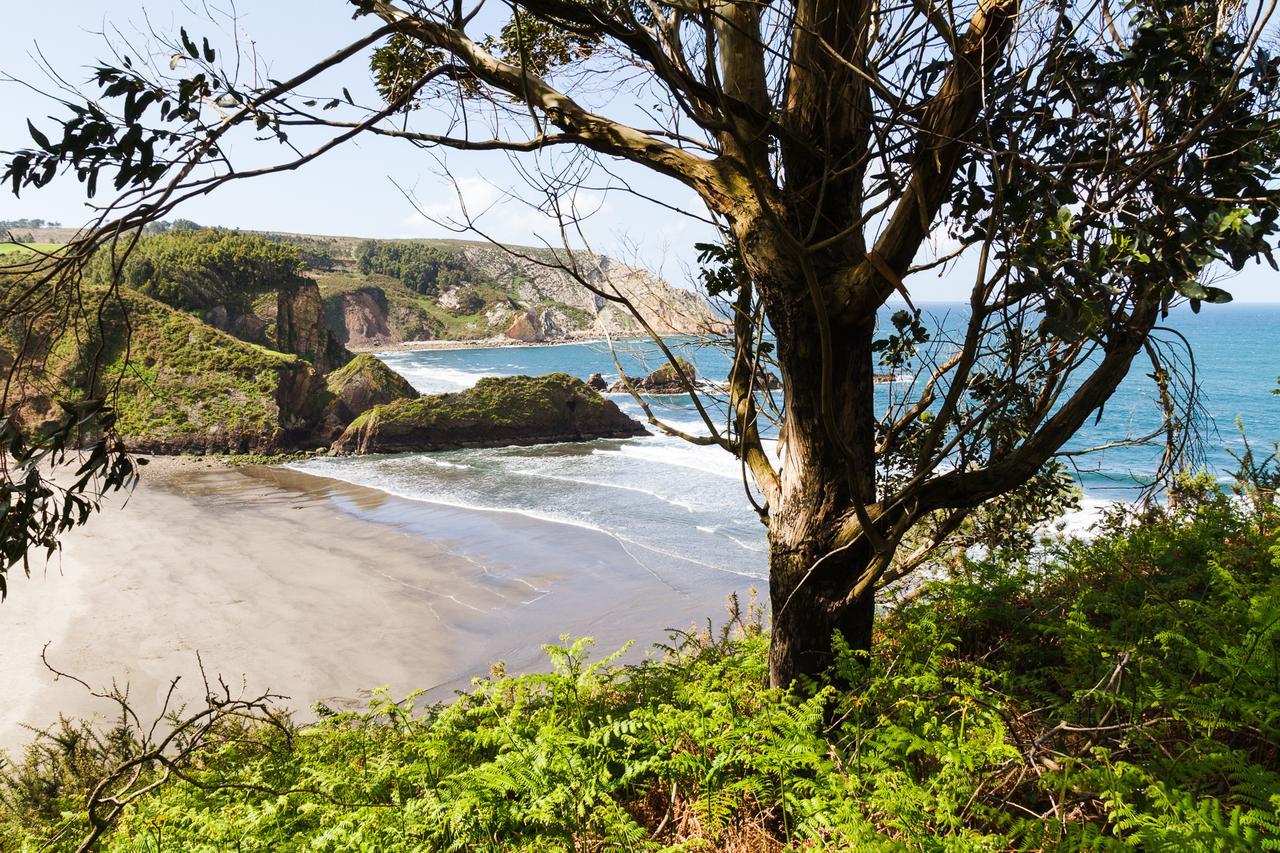 Ruralsurf 2*