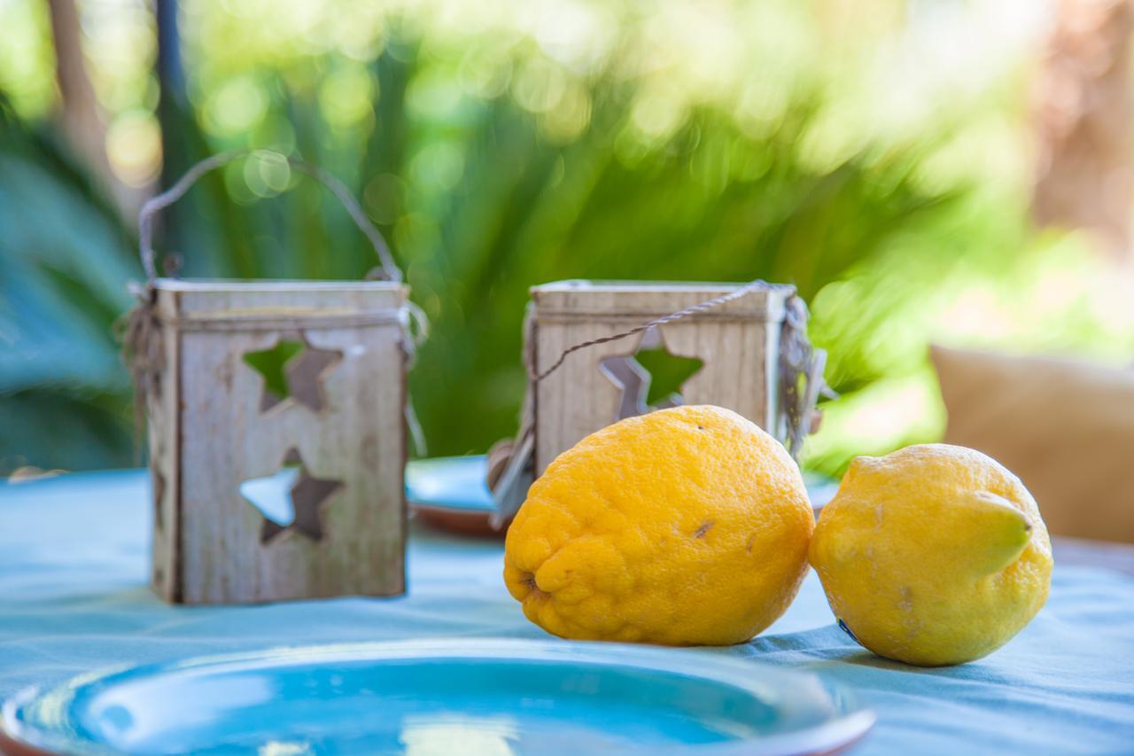 Pina - Eco Arco - (adults Only) * Costitx (Mallorca)