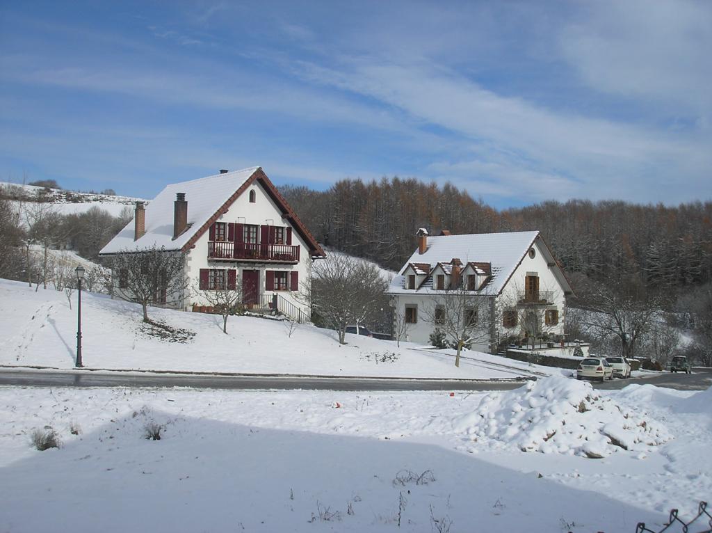 Hostel Irugoienea *
