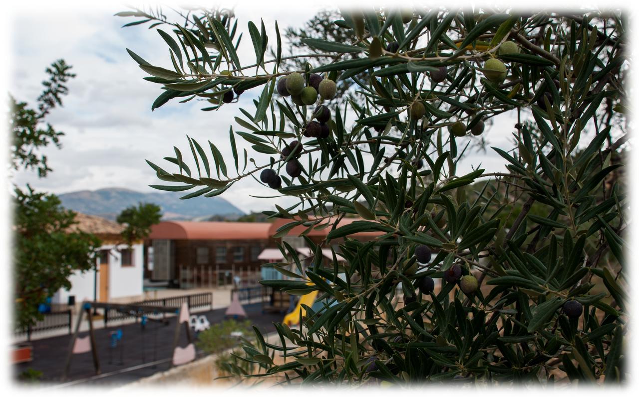 - Restaurante Estación Vía Olvera