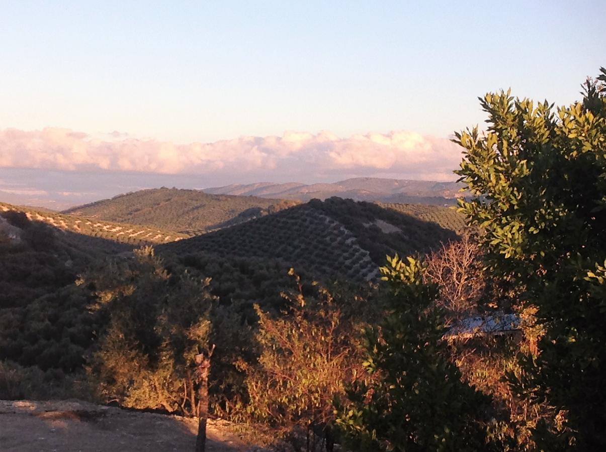 Cortijo Berruguilla