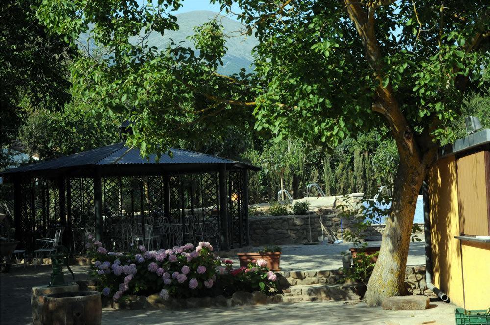 Gomar Hotel 2*