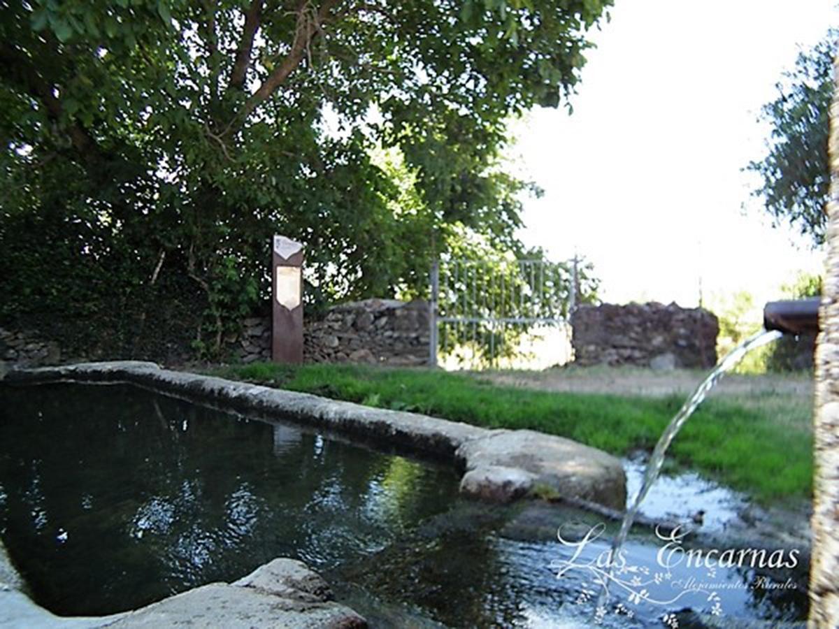 Apartment Encarnas
