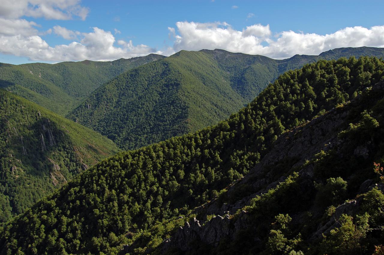 El Mirador De Fuentes Del Narcea Moncó