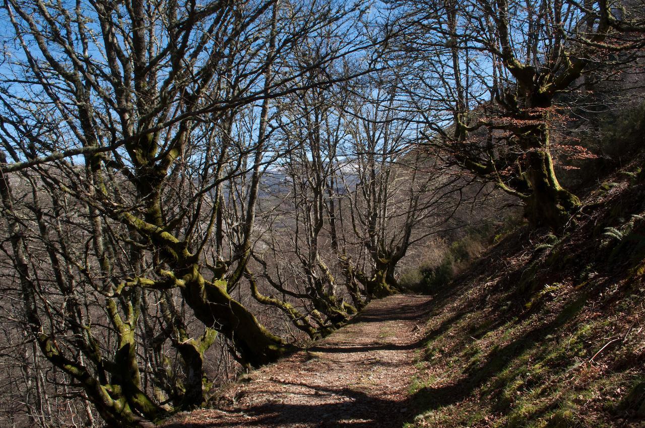 El Mirador De Fuentes Del Narcea Moncó