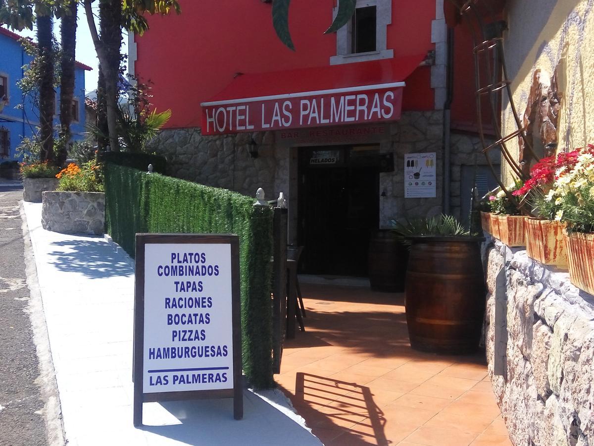 Palmeras Celorio (Llanes)