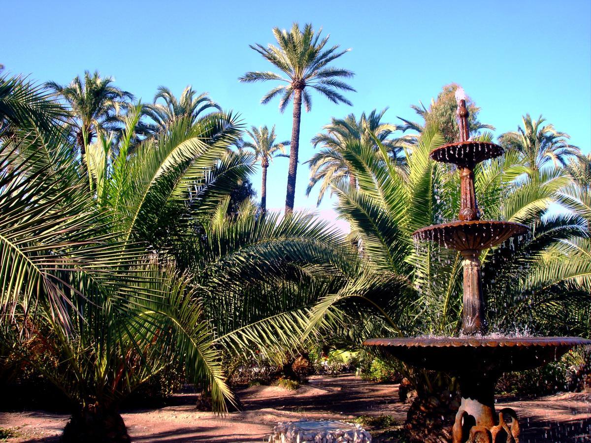 Concha Del Mar *