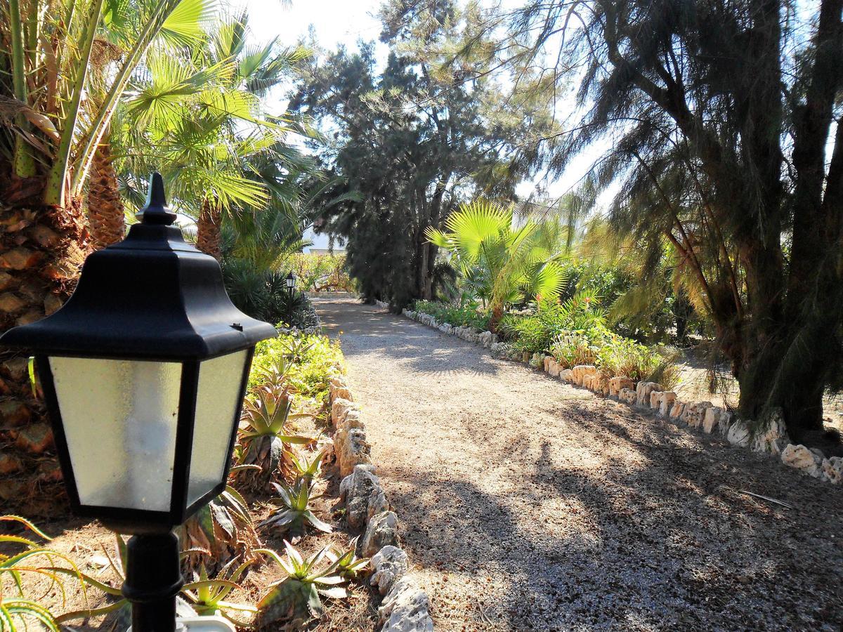 Concha Del Mar Apartamento *