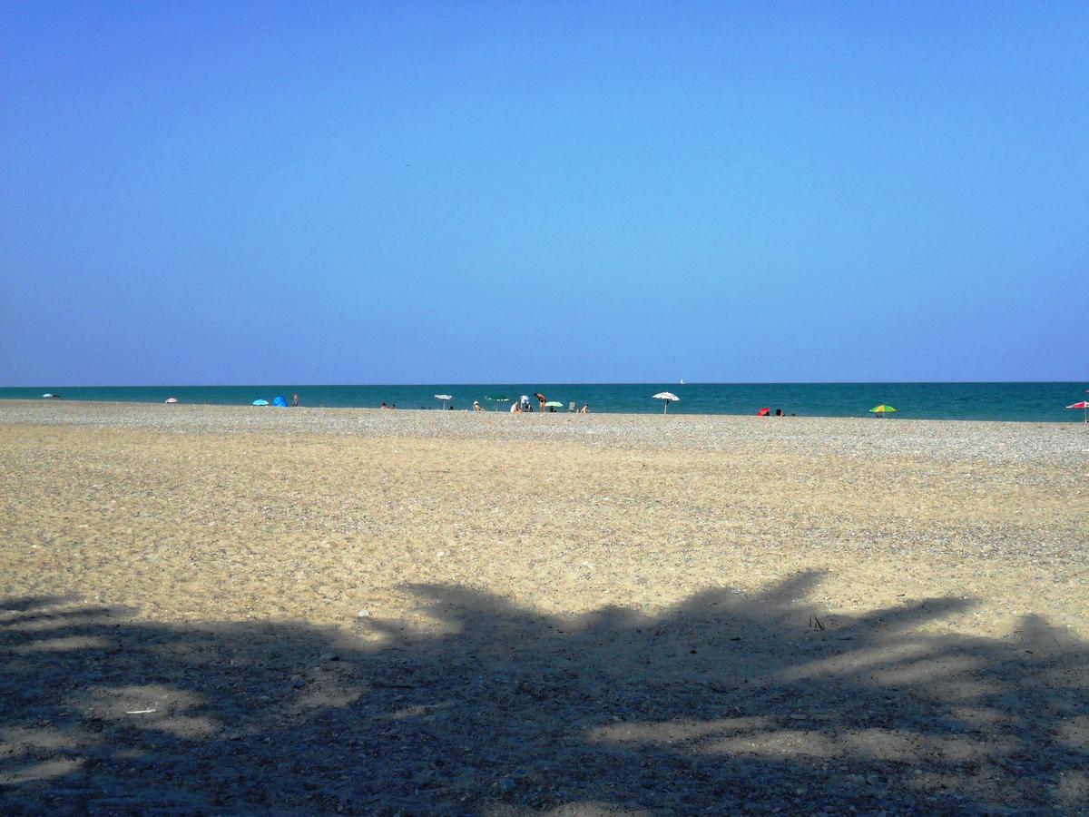 Concha Del Mar