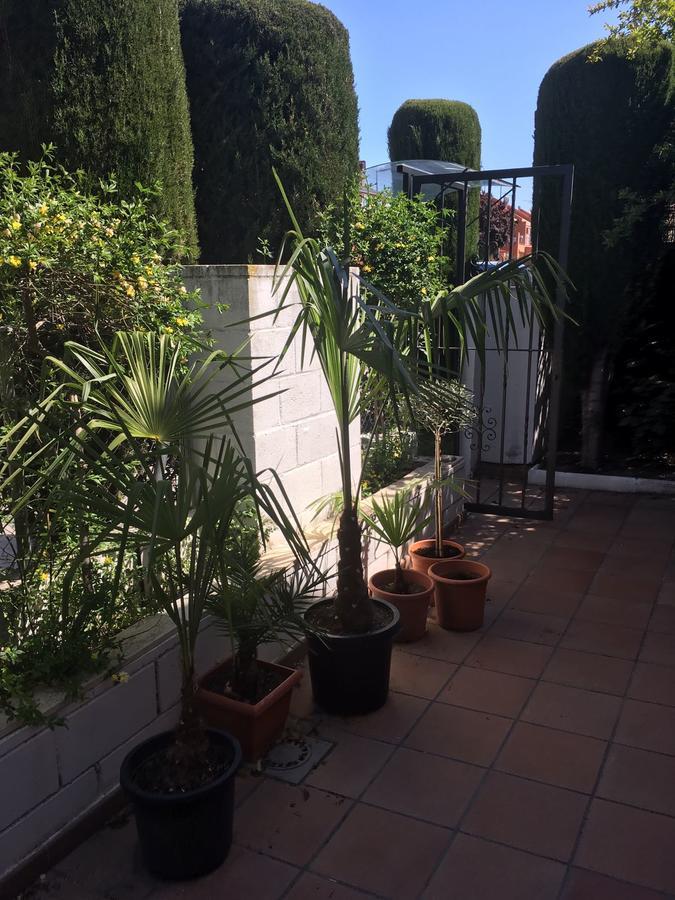 Casa Rivas Con Piscina Abierta Todo El Año Vaciamadrid