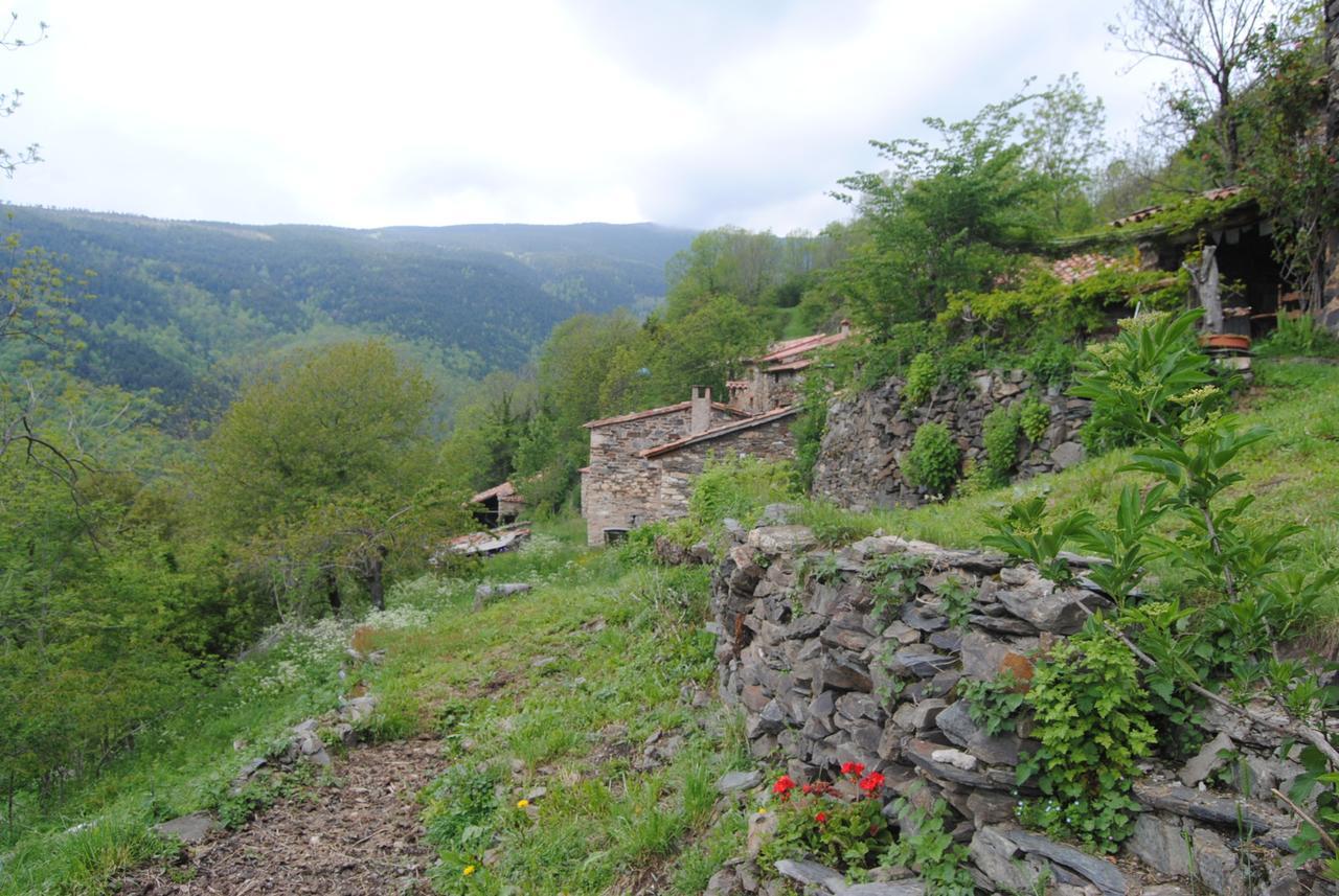 Can Victu Chalet *