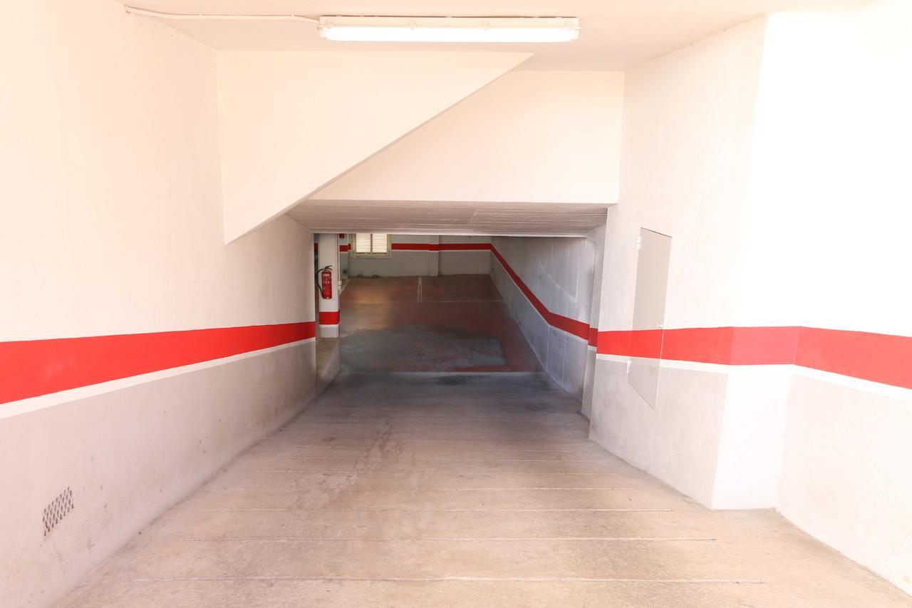 Apartament Antic Plankton Apartment