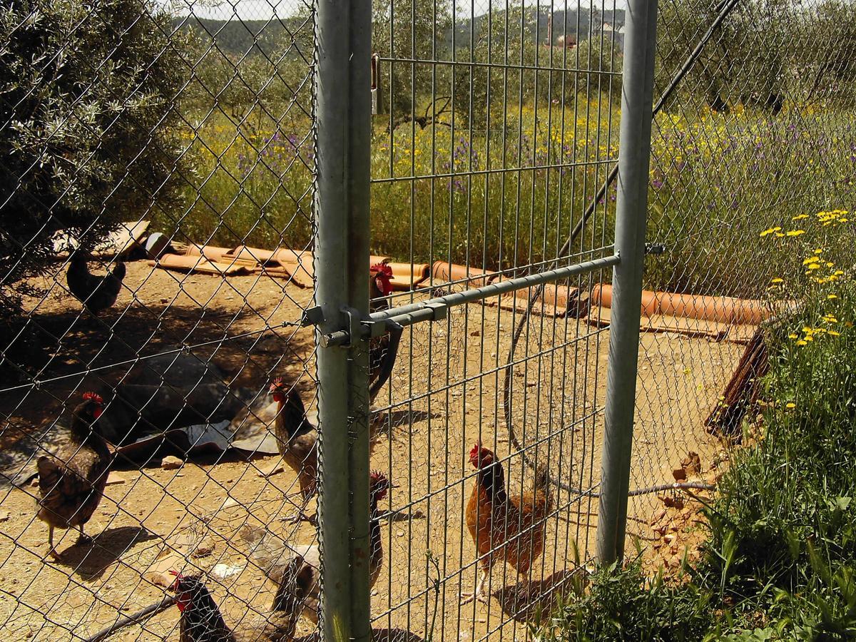 Rural La Cimbarra Aldeaquemada