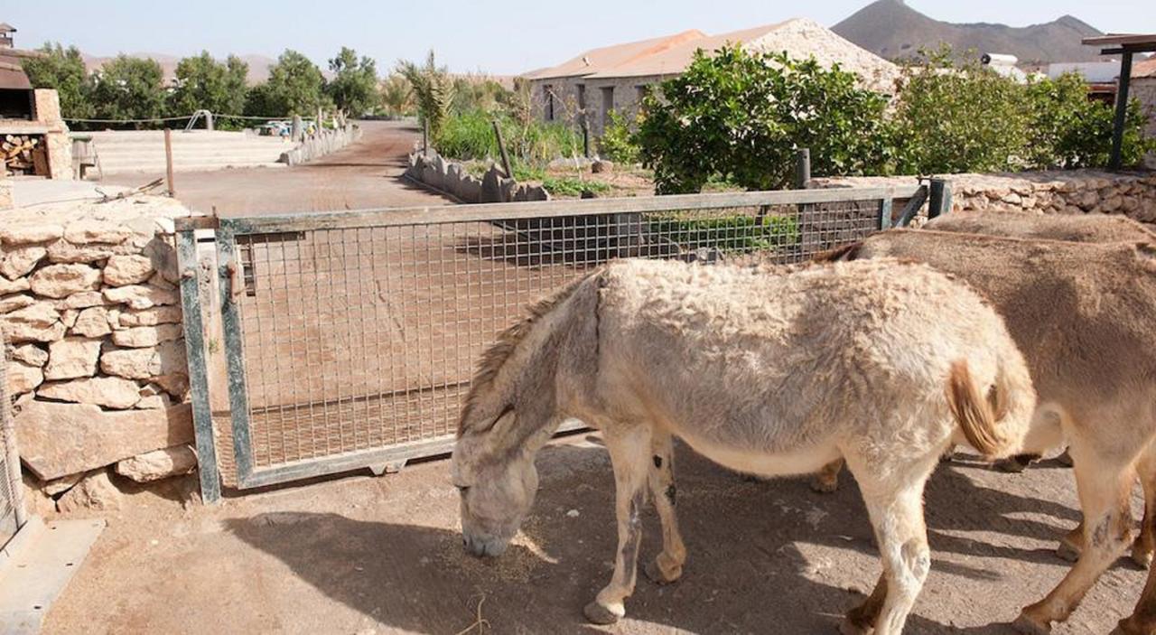 La Gayria Casa rural *