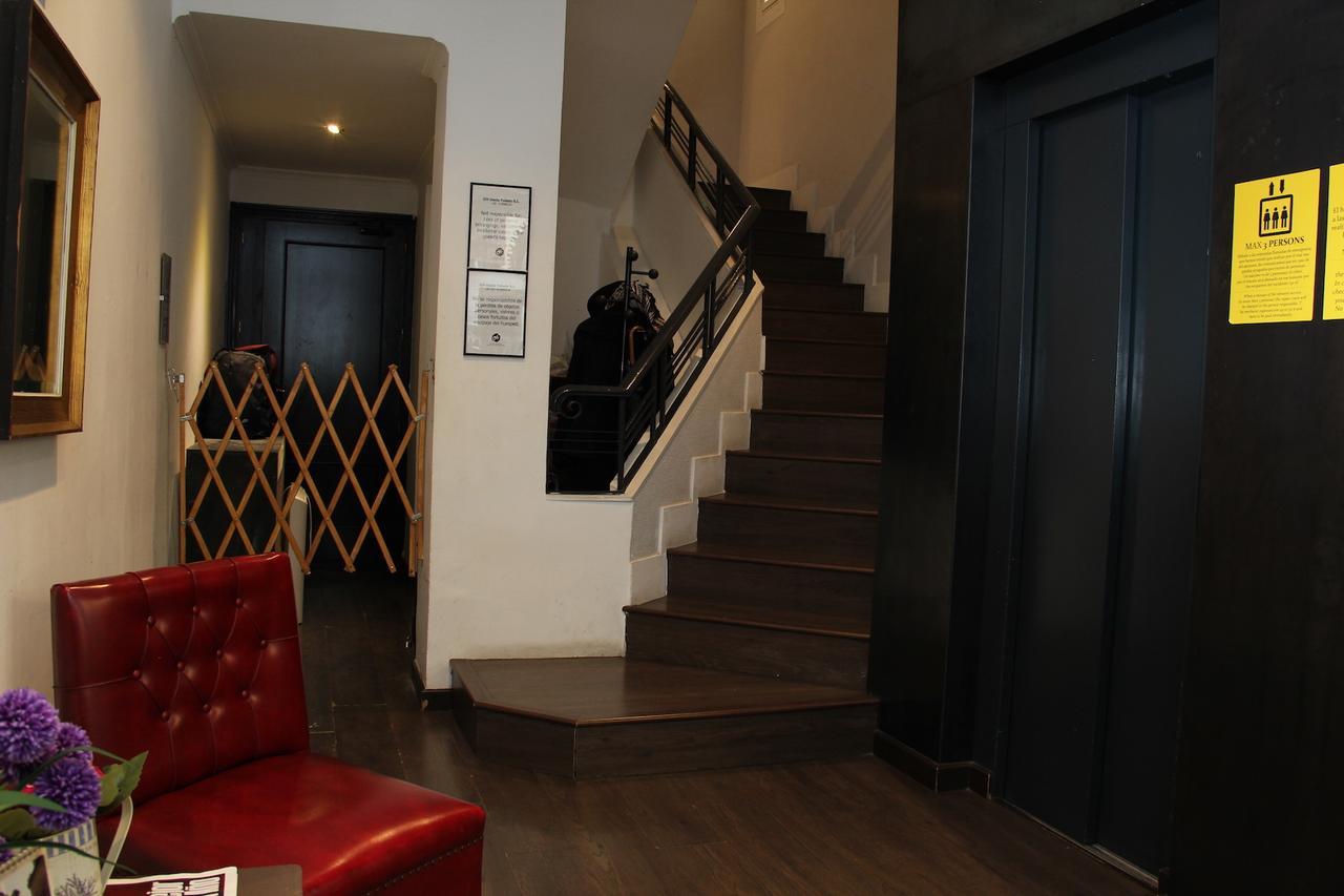 Oasis Backpackers' Hostel *