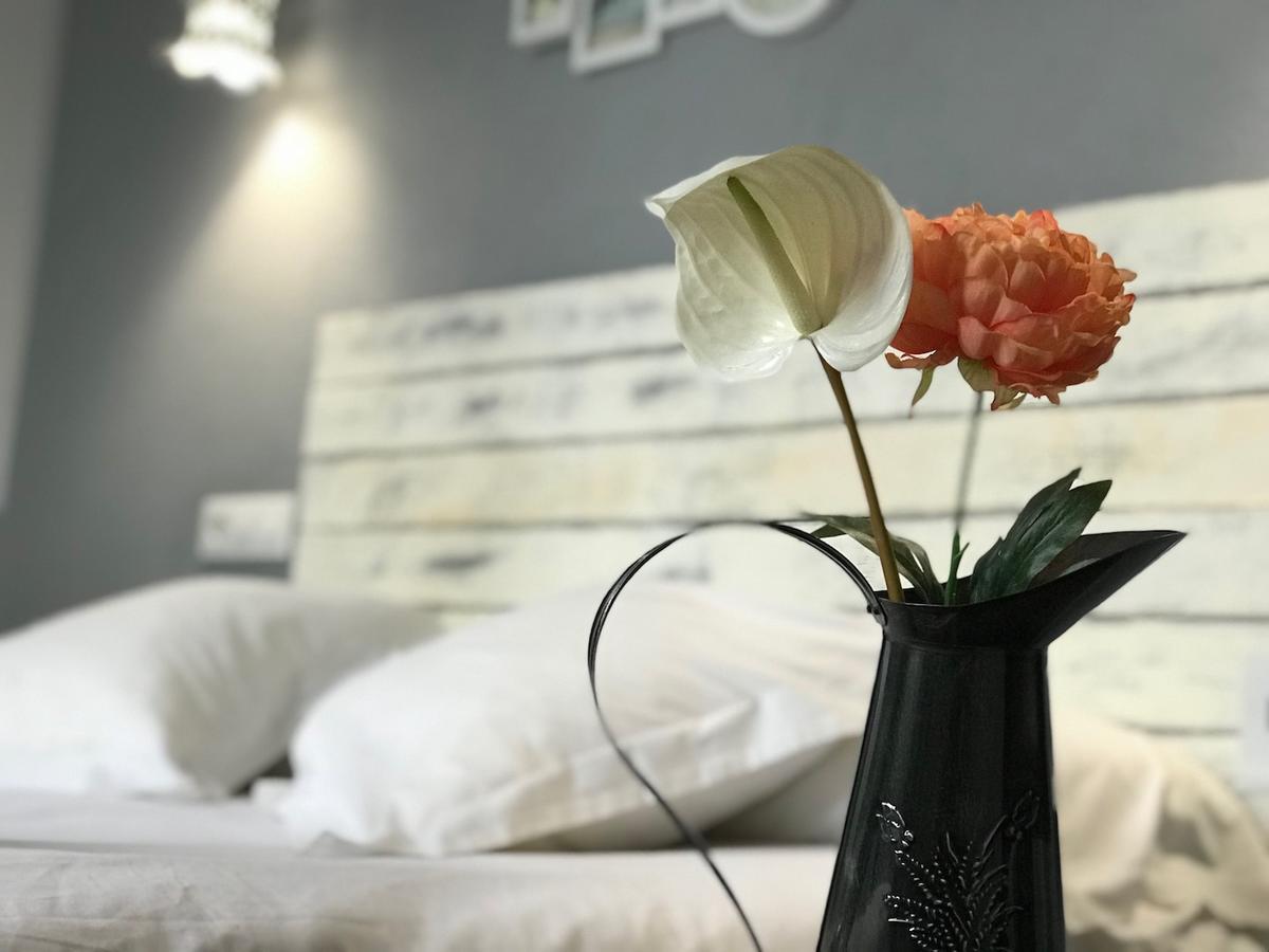 Oasis Backpackers' Hostel Toledo