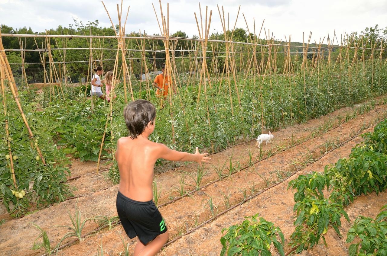 Camping Palmeras Camping&bungalow Tarragona