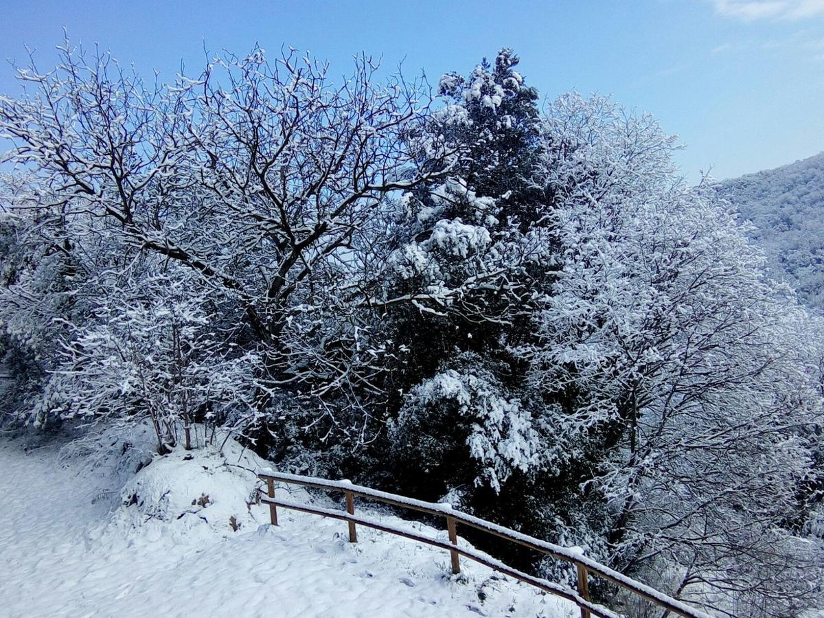 Mas Pardas Holiday home Santa Pau