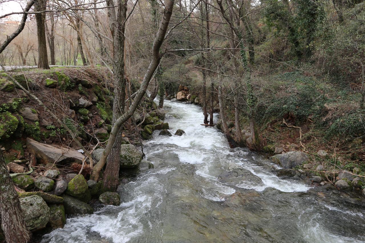 La Garzona
