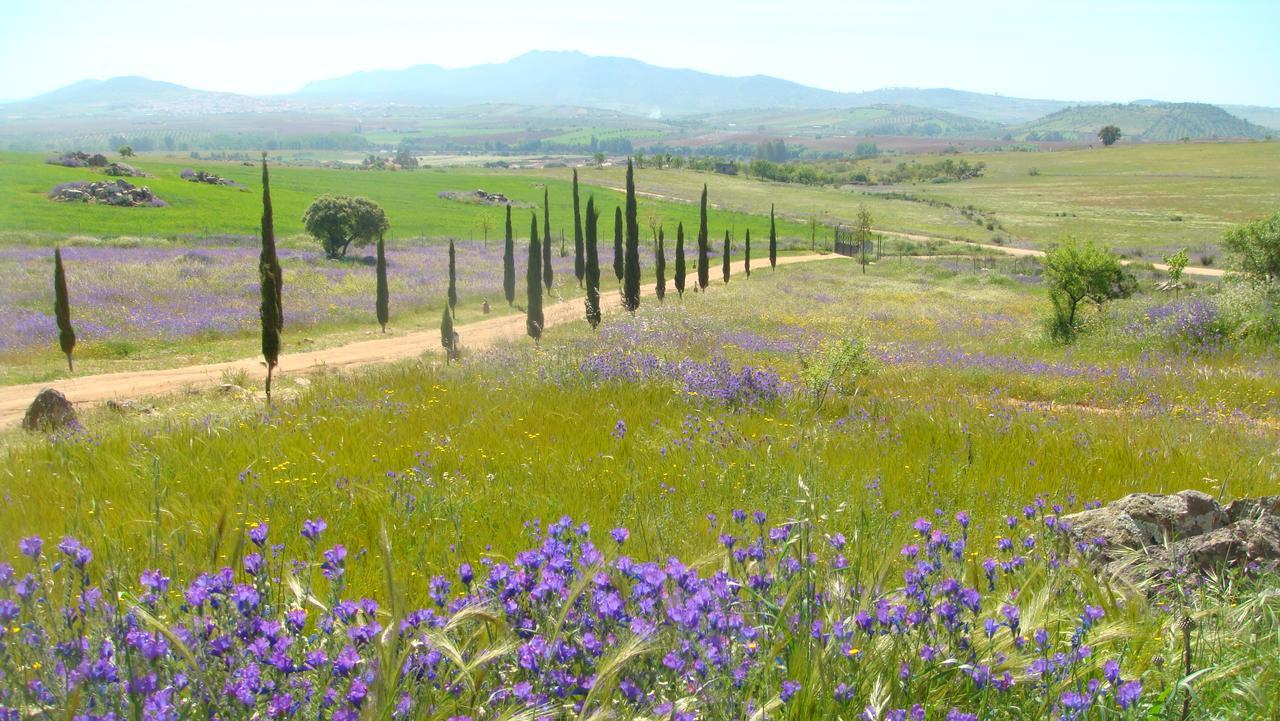 Country house Romana Don Alvaro