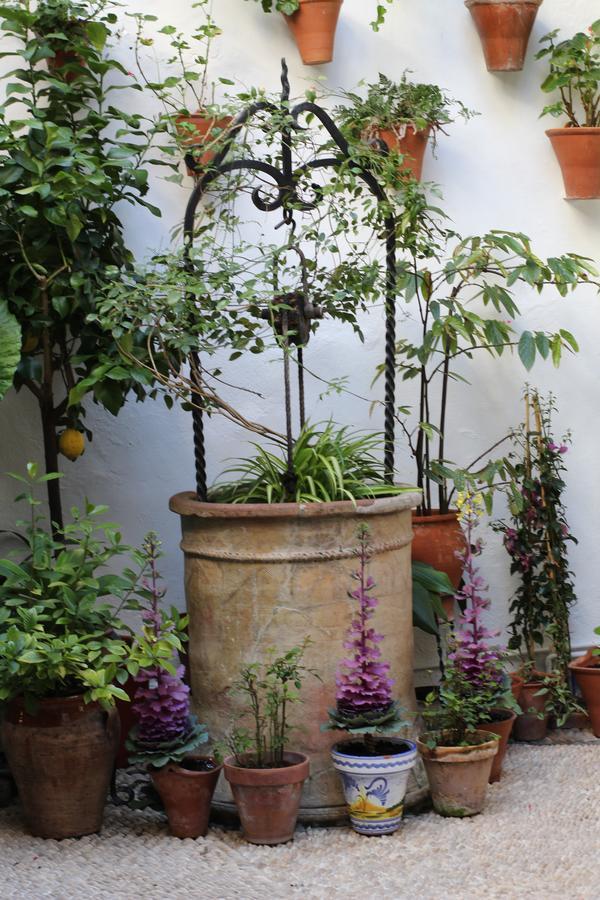 Pensión Casa Longa Córdoba