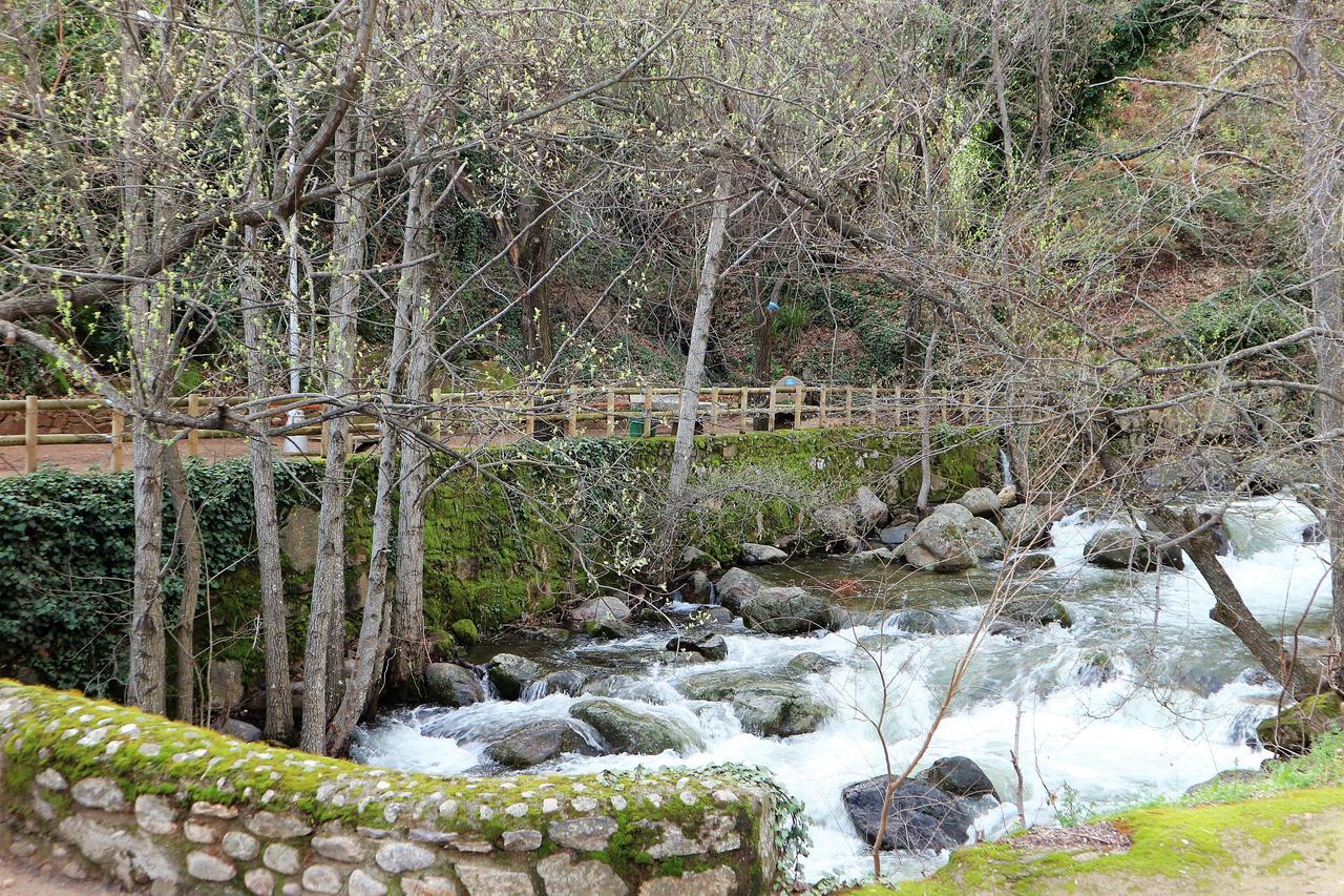 La Garzona *