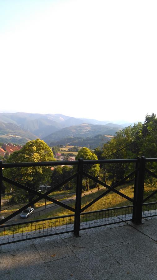 La Panerona Centro Tineo