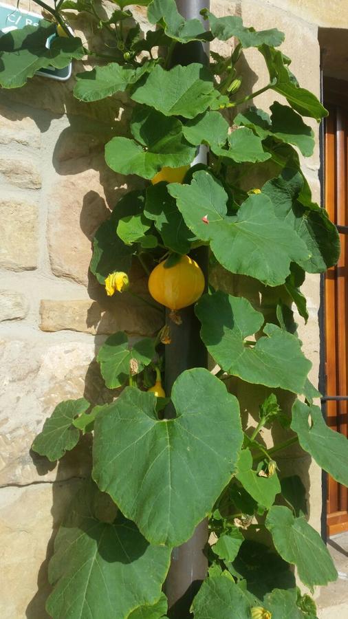 El Cuartelillo Viejo Country house
