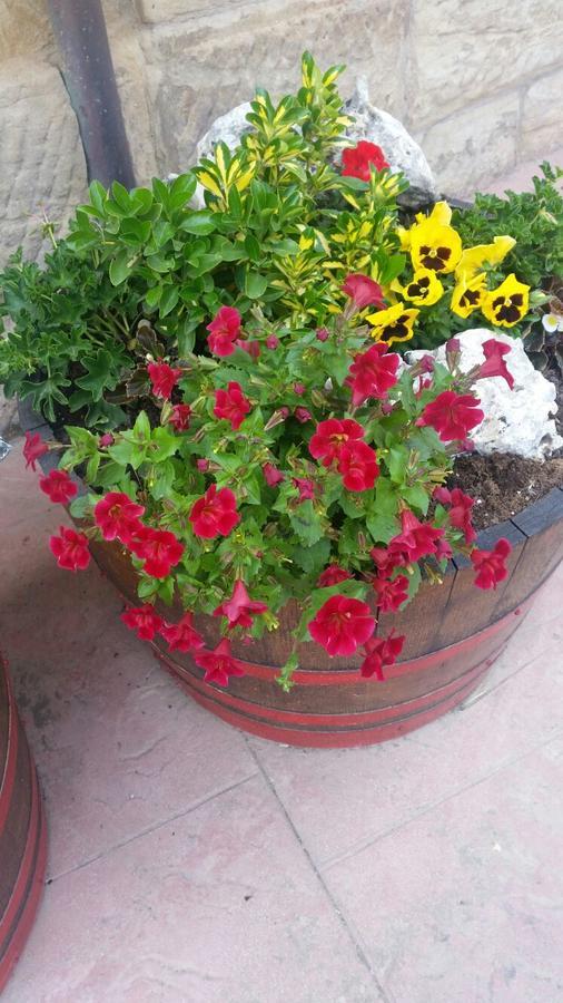 El Cuartelillo Viejo Country house Polientes