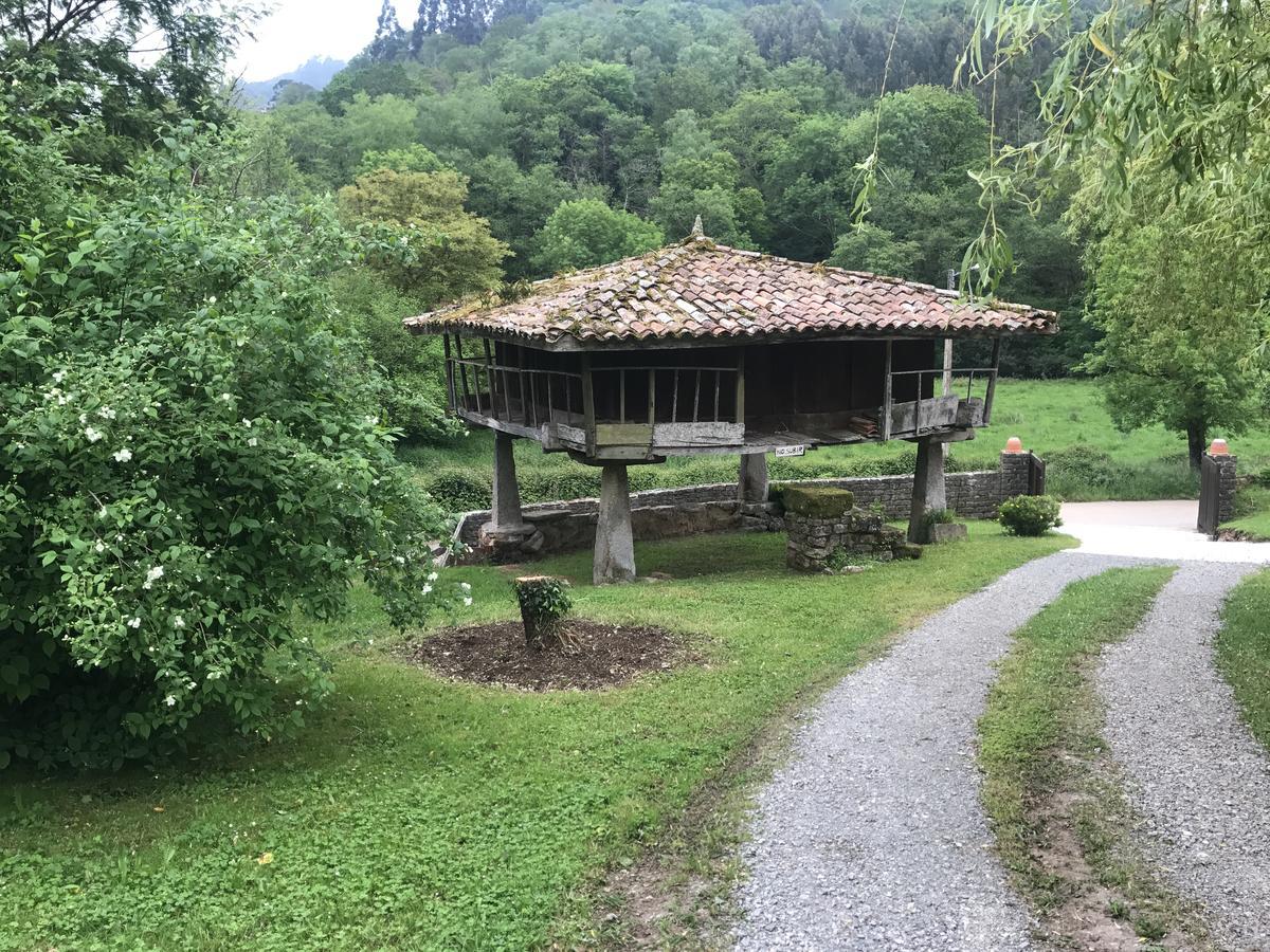 Quinta Del Sauce