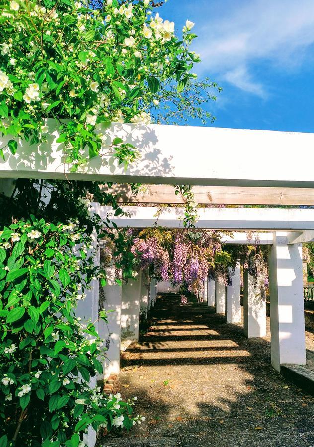Guest house Castillo De 3*