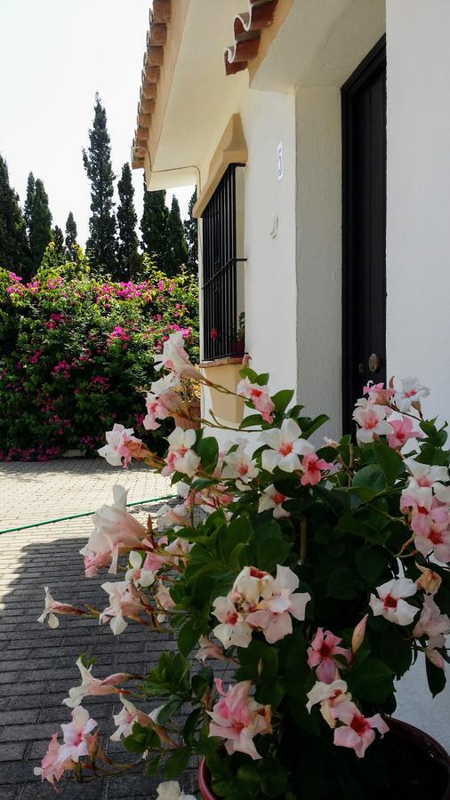 Banus Apartment *